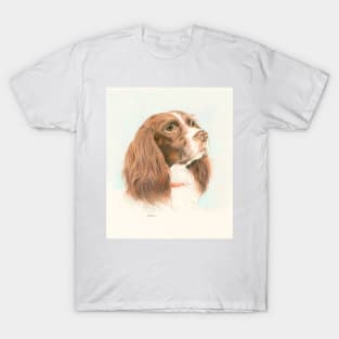 Springer spaniel T-Shirt